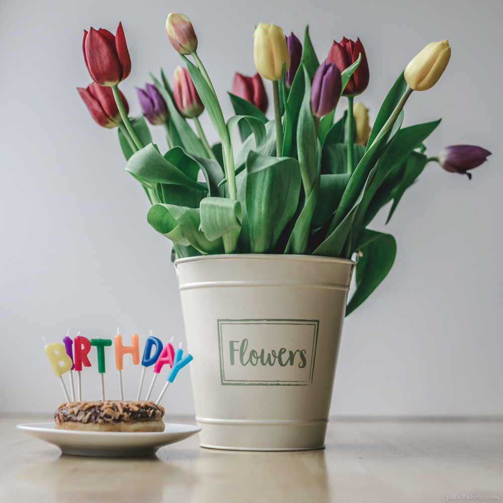 Birthday tulips