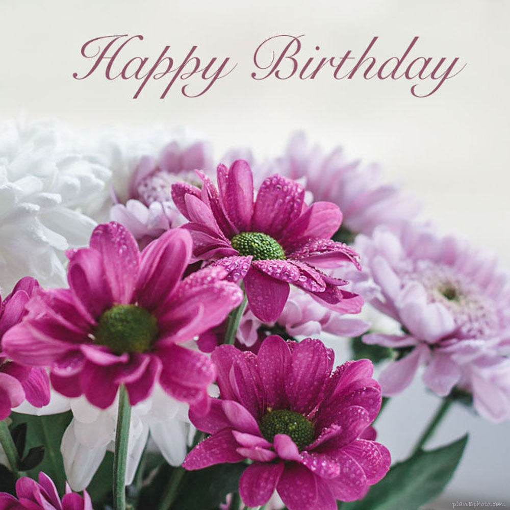 Happy birthday bouquet. Birthday flowers card with rain drops on petals