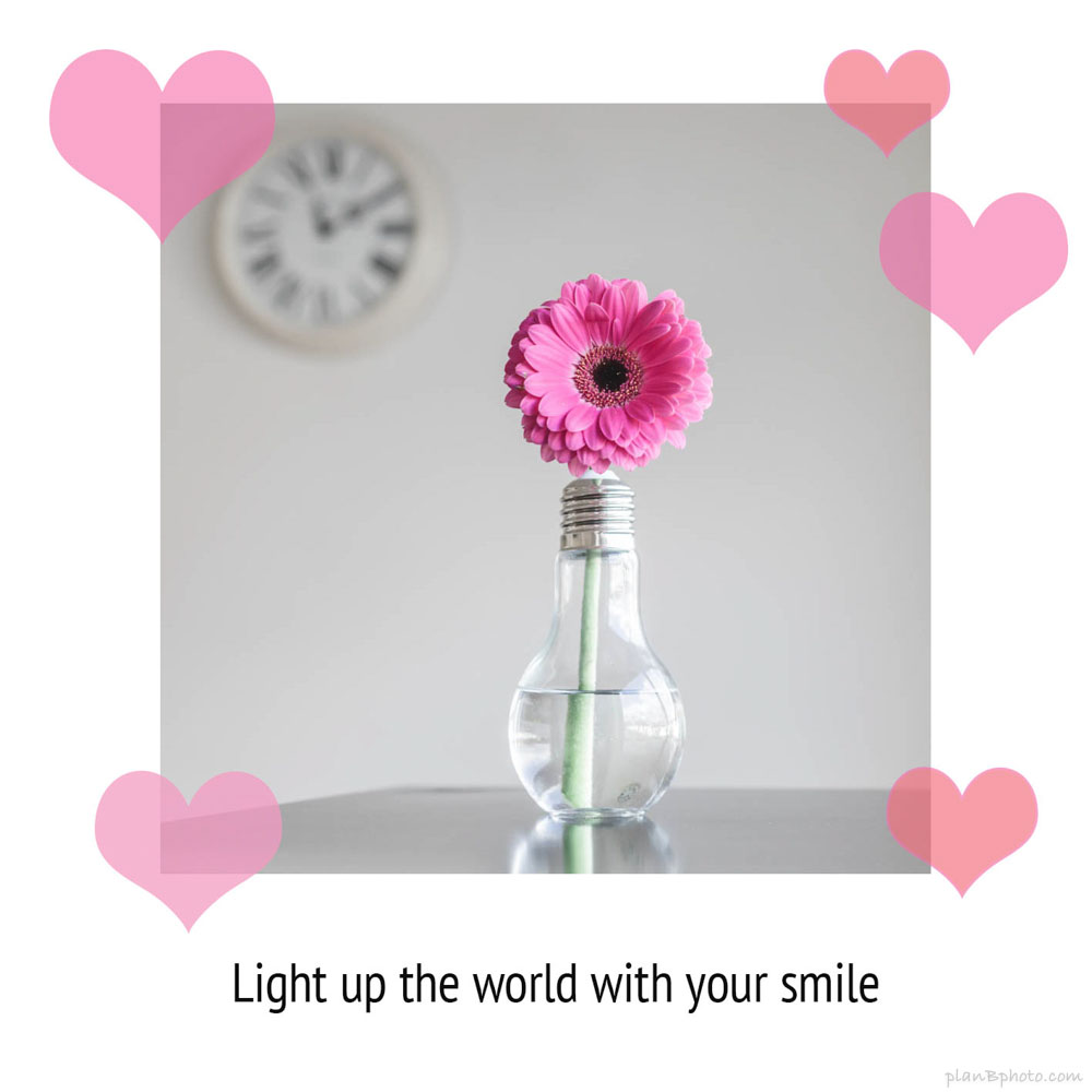 Flower in a lamp bulb with a valentines quote lighting up the world