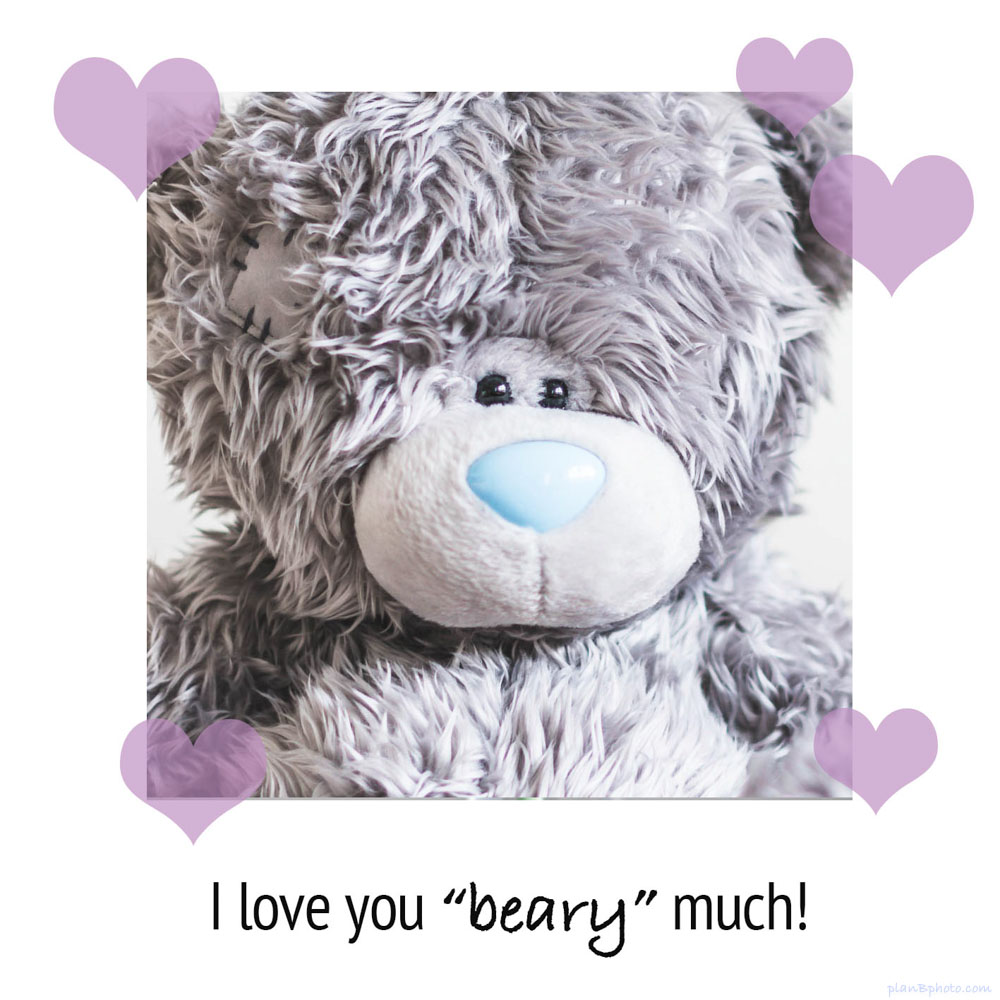 Love beary much image with a bear