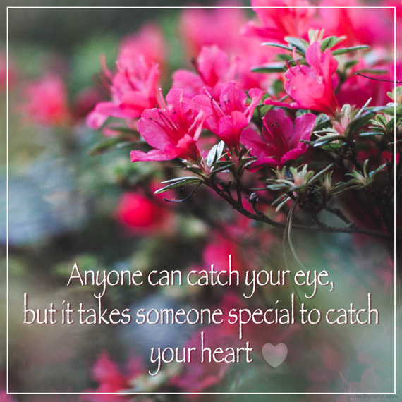Valentines quote for someone special