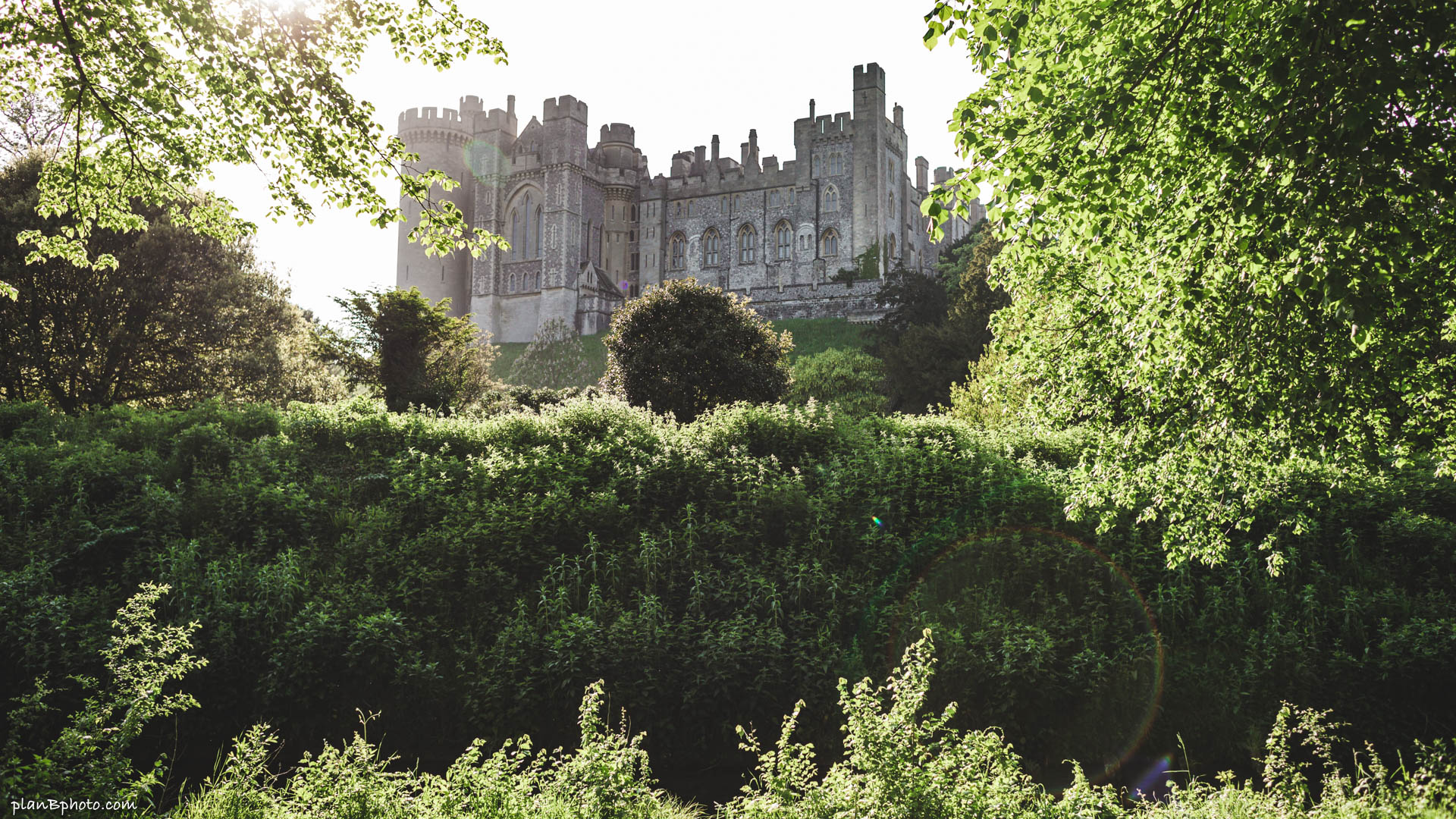 Arundel castle in summer surrounded by green trees and bright beams of light