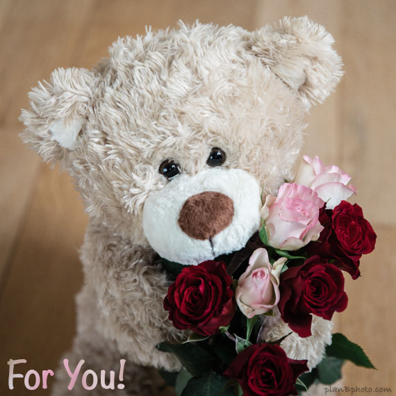 Cute yellow bear is holding roses bouquet in his paws - just for you