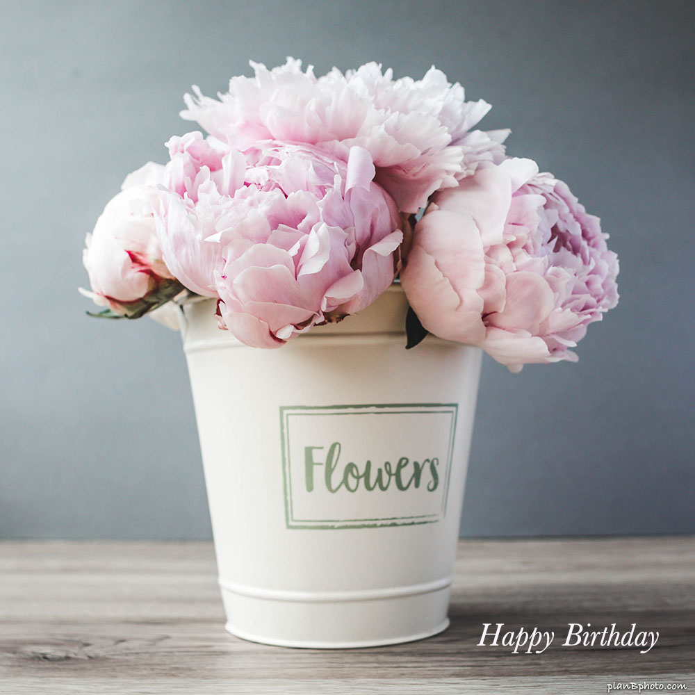 Bouquet of large pink peonies in a white bucket