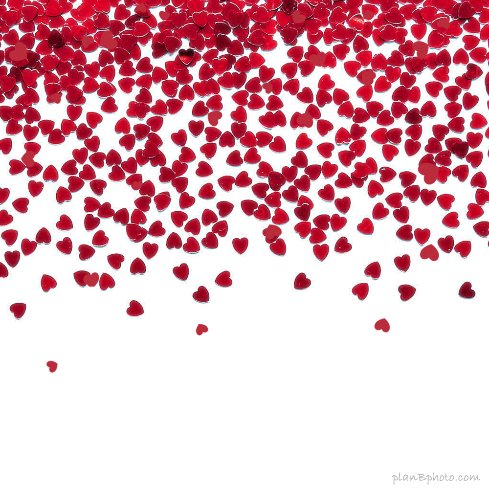Red Hearts confetti rain falling Valentine's day animation