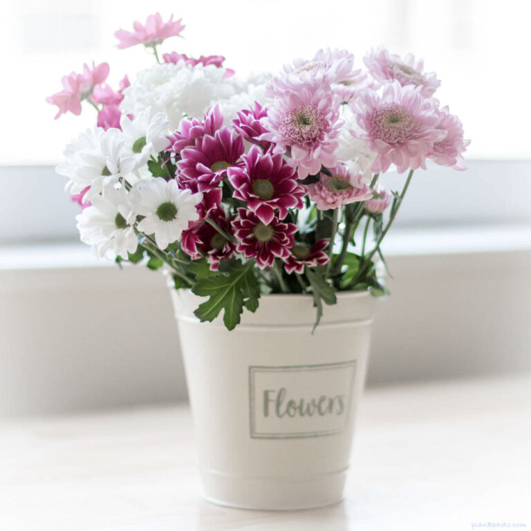 Flower bouquet in a white bucket