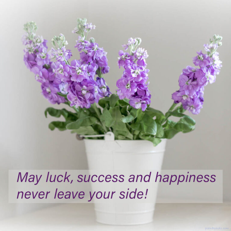 Wishing you success