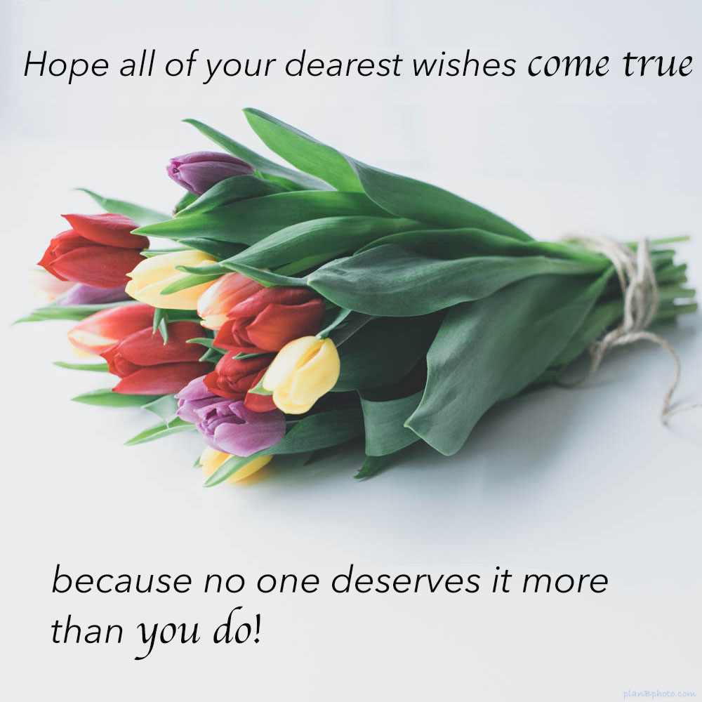 birthday wishes all come true. Tulip bouquet birthday card with a message