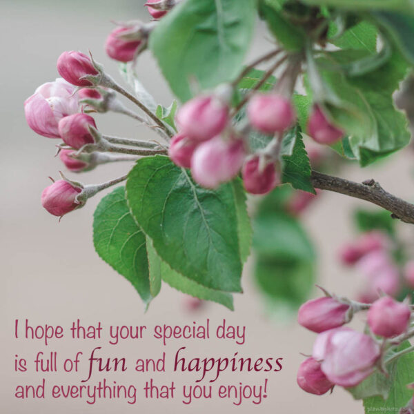 Birthday wish of fun and happiness. Apple tree blooming birthday card