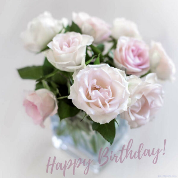 Happy birthday card with delicate rose roses in a vase