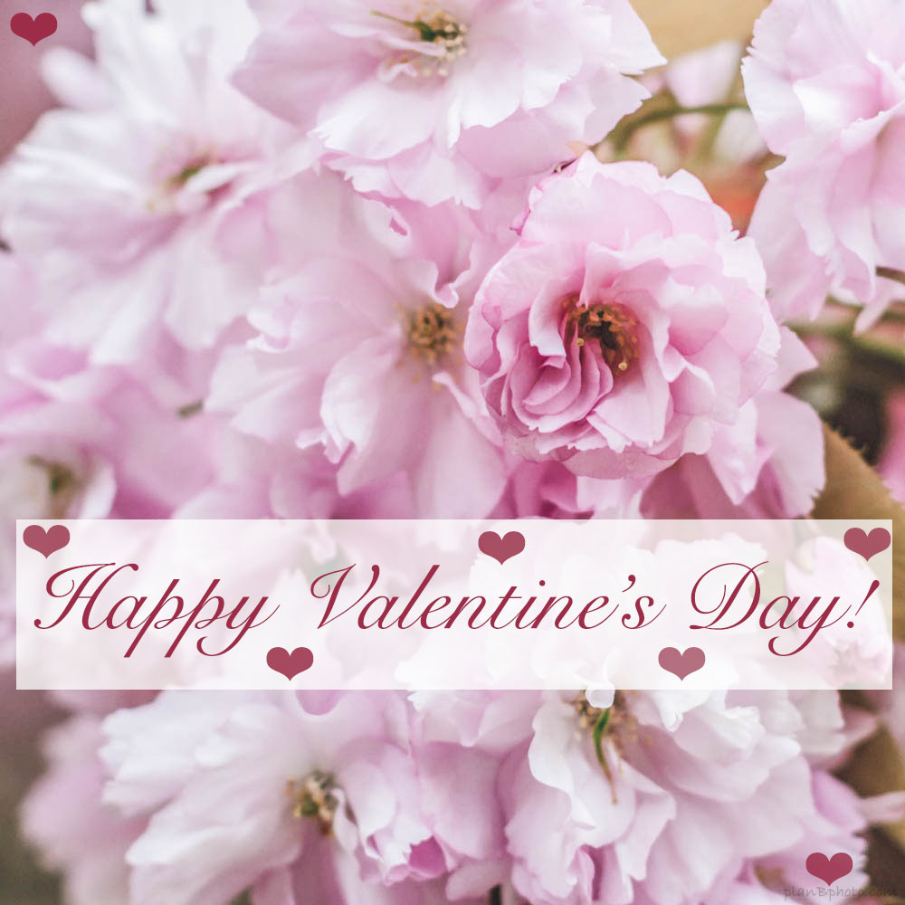 Happy valentines day image with pink flowers