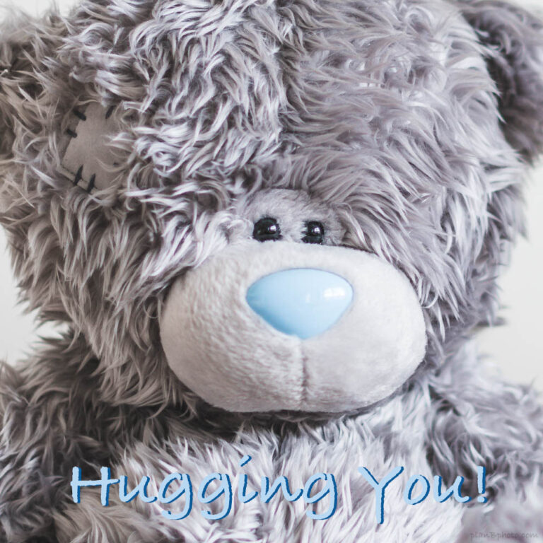 Hugging You image with a bear