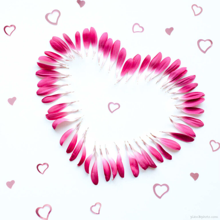 Hearts and petals Valentine’s Day image