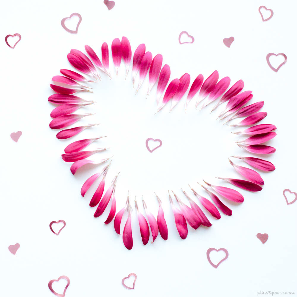 Many pink hearts on a white background