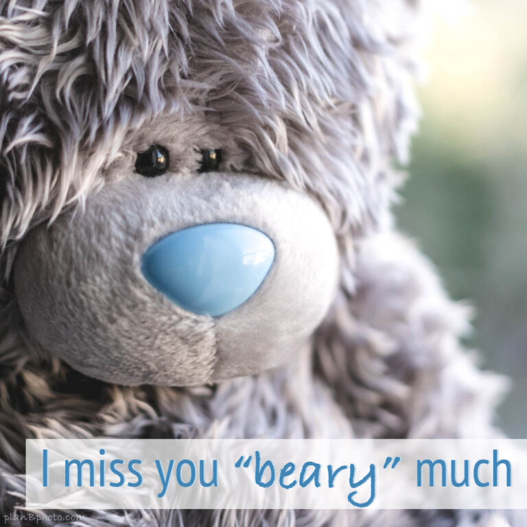 Missing you beary much image with a bear