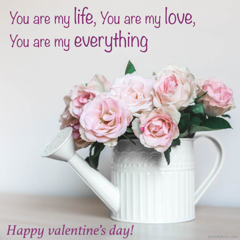 You are my love quote