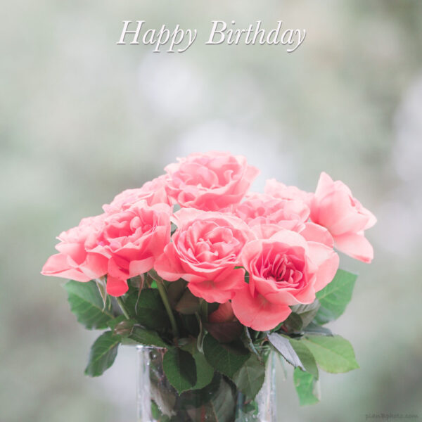 Coral Pink roses bouquet in a glass vase