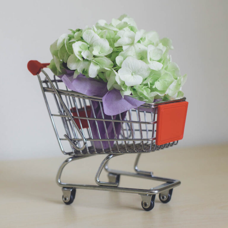 Hydrangea flowers in a mini shopping cart