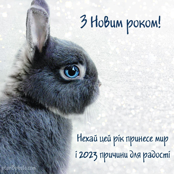 Happy New Year wish 2023 with a black rabbit 