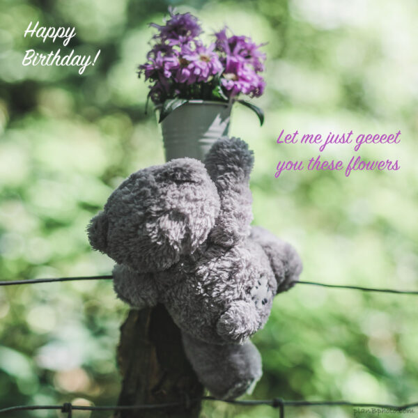 teddy bear reaching for flowers