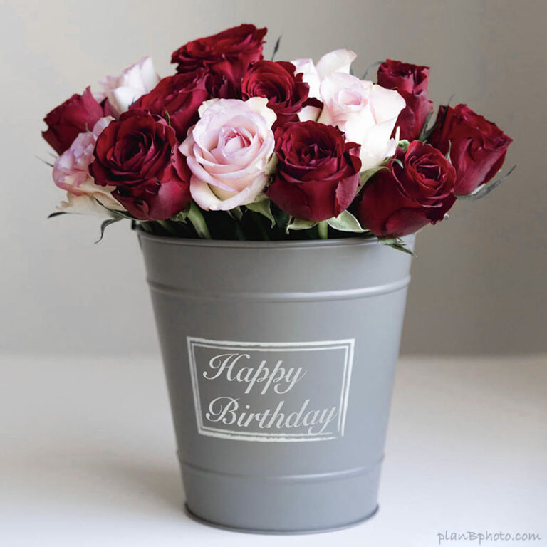 Birthday-roses-bucket