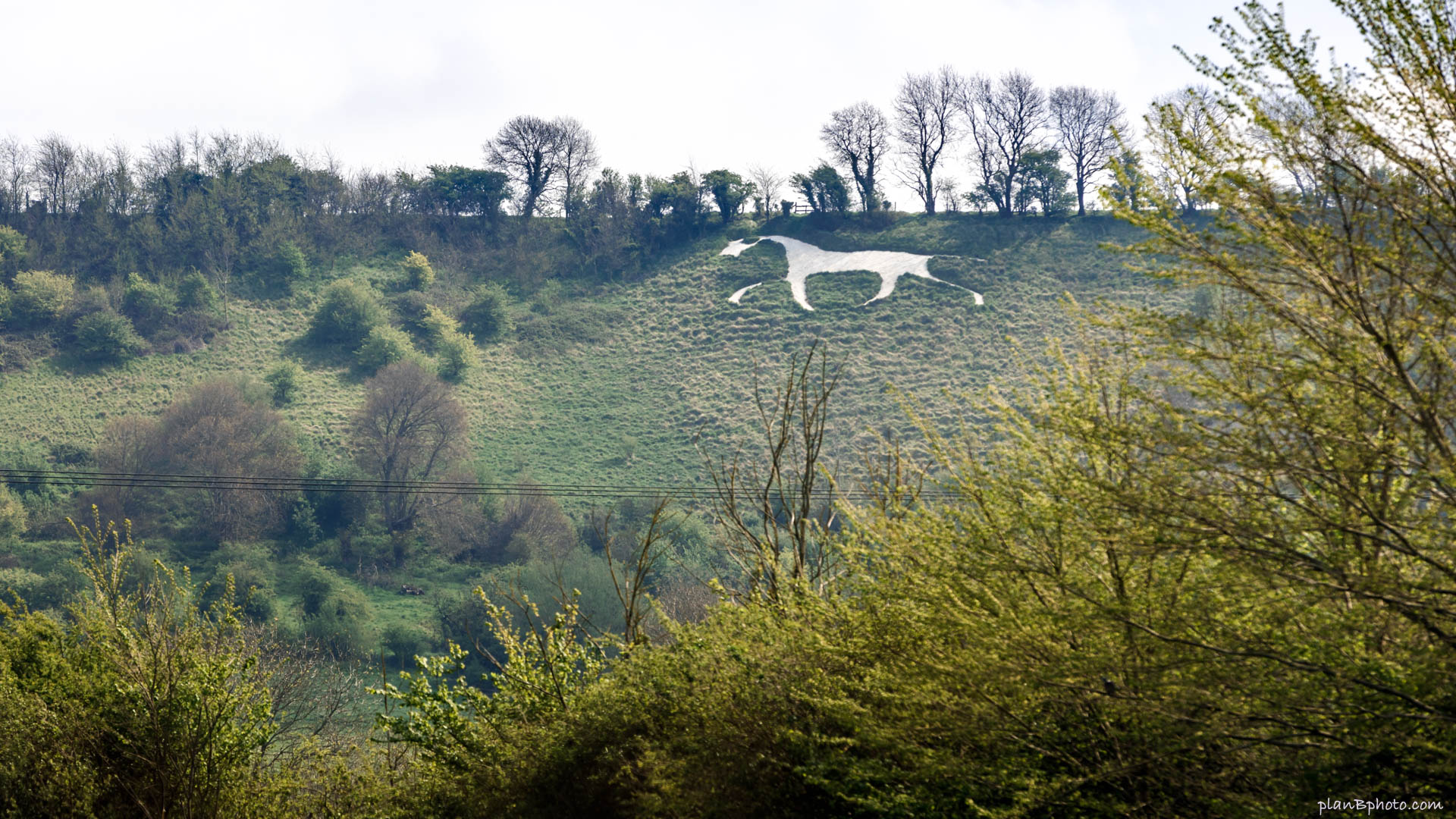 Broad Town White Horse hill figure