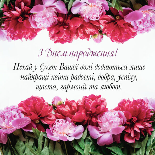 Image with peonies and a formal birthday greeting in Ukrainian 