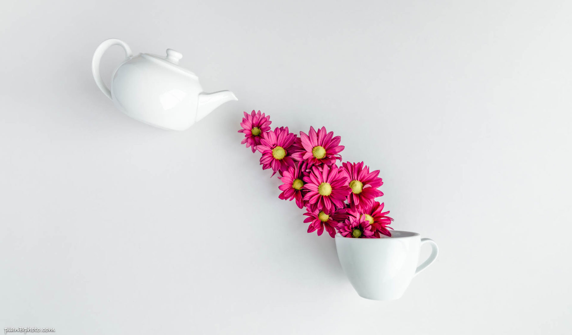 Pouring daisy-like flowers in a tea cup flat lay image