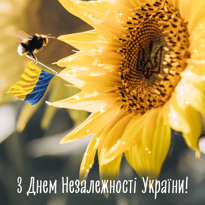 Анімація з Днем Незалежності України