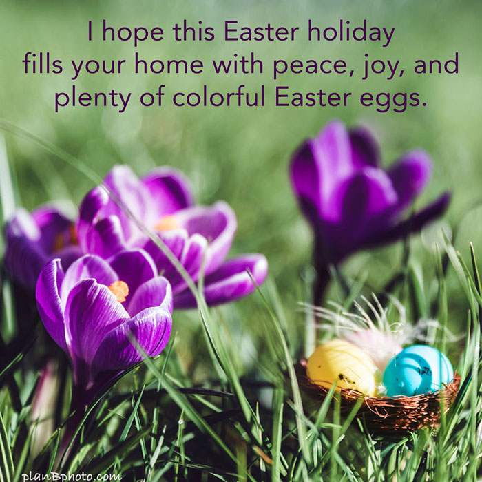 Easter holiday wish image
