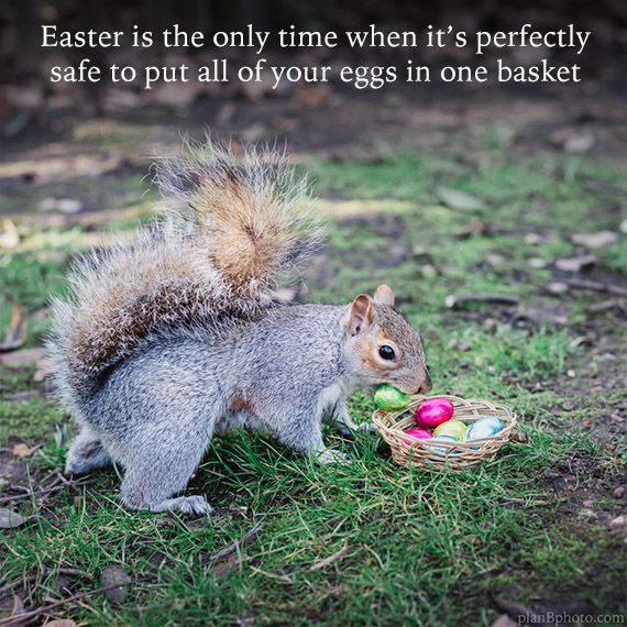 Squirrel putting Easter eggs in one basket