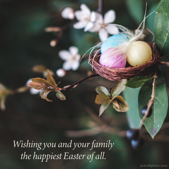 Happy Easter message for family