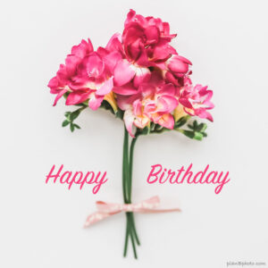 Birthday Fresia flower with pink bow - Plan B Photo