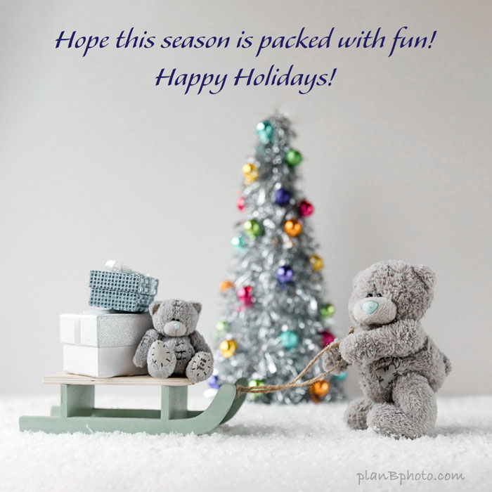 Fun holiday season - Christmas greetings with teddy bears