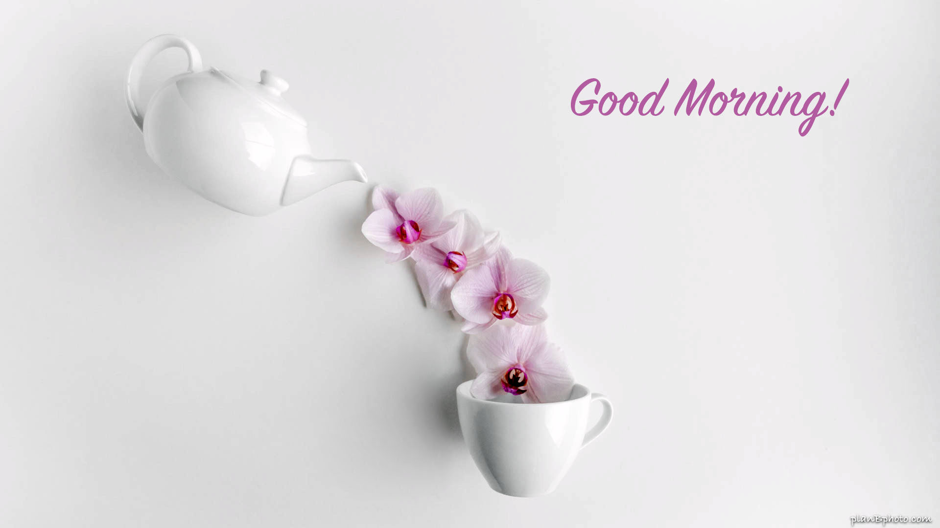 Good morning image on a white background with flowers and a teapot