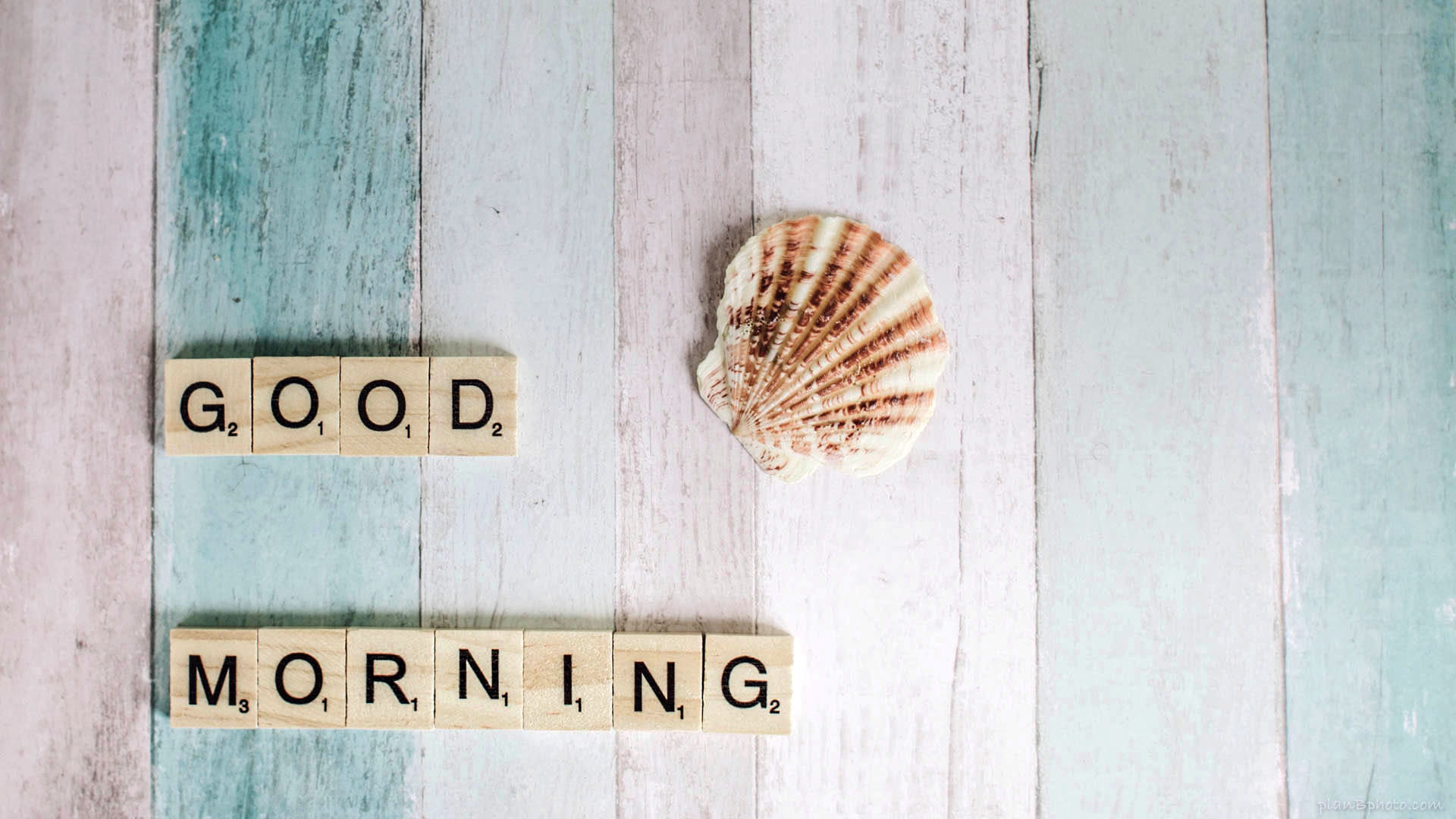 Good morning background image with a sea shell