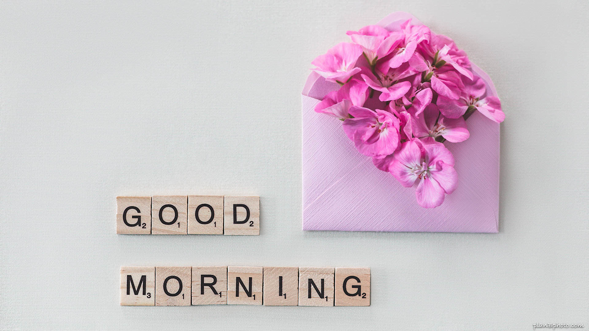 Good morning flowers in pink envelope