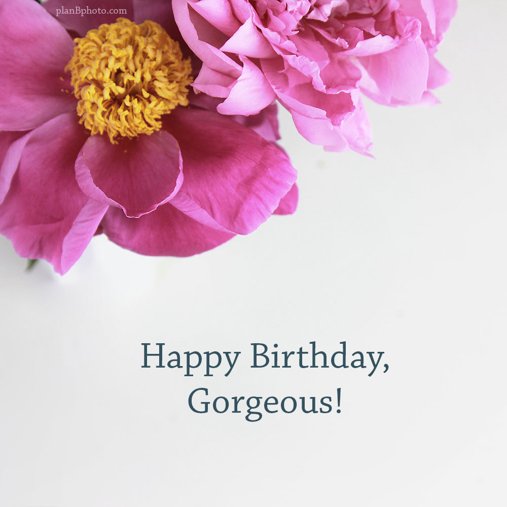 happy birthday gorgeous image with peony flowers on a white background