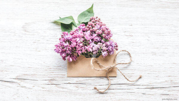 Lilac flowers in an envelope on white wood