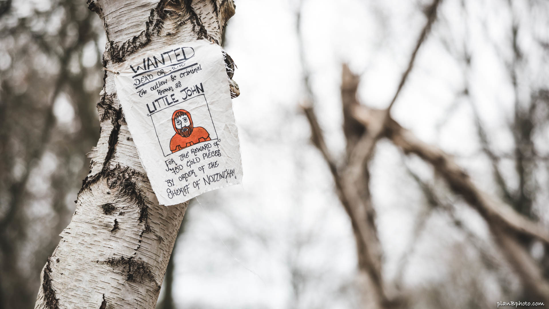 Sign in Sherwood Forest - Wanted: Little John