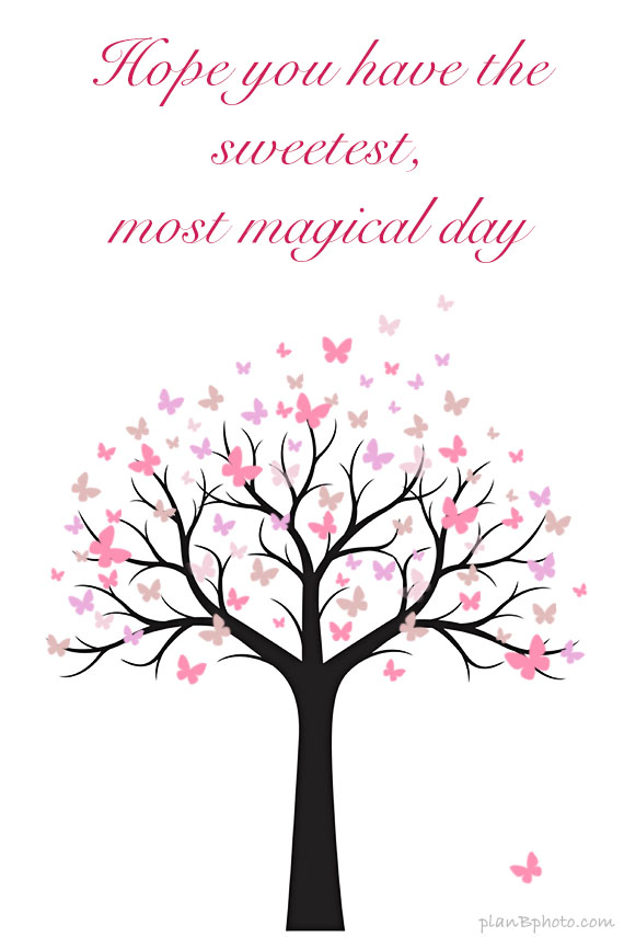 Magical Valentine’s Day wish