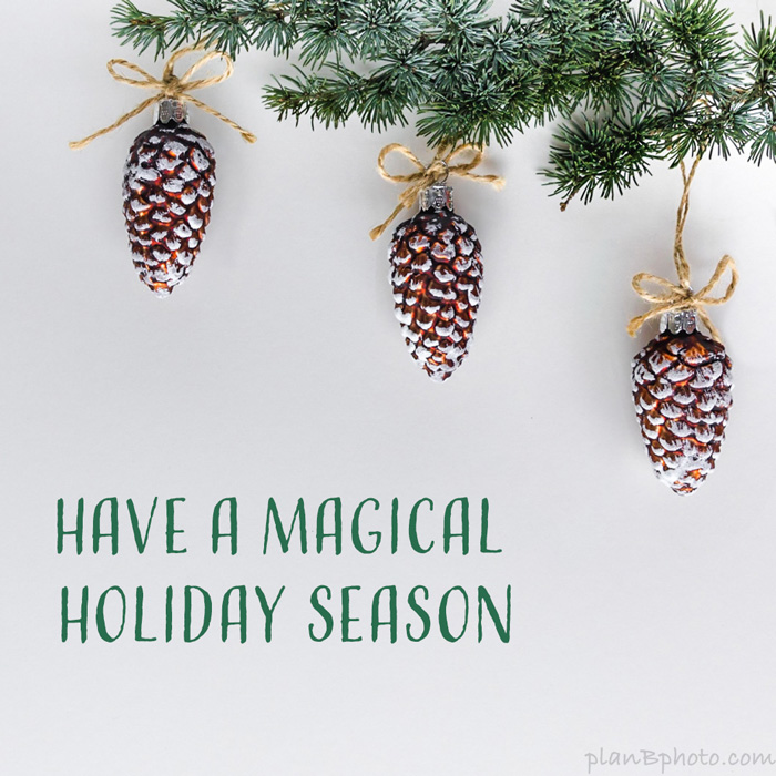 Magical season Christmas wish with pine cones