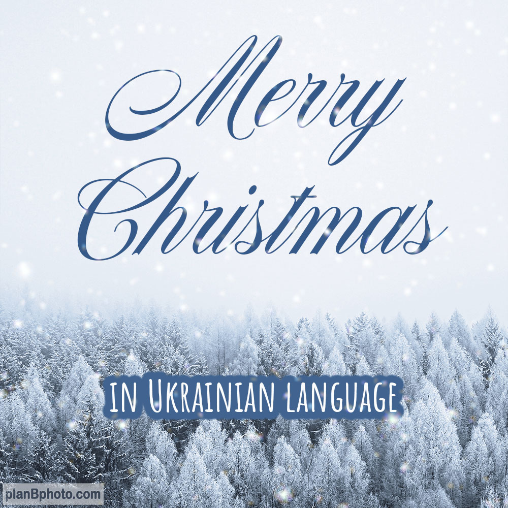 Merry Christmas in Ukrainian language 2023 images, wishes, gif