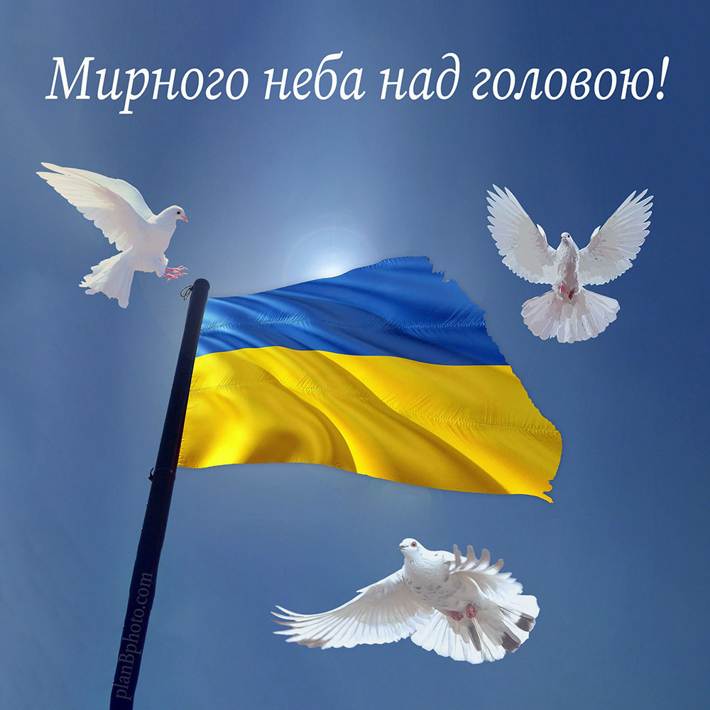 Мирного неба над головоб картинка з голубами та Українським прапором