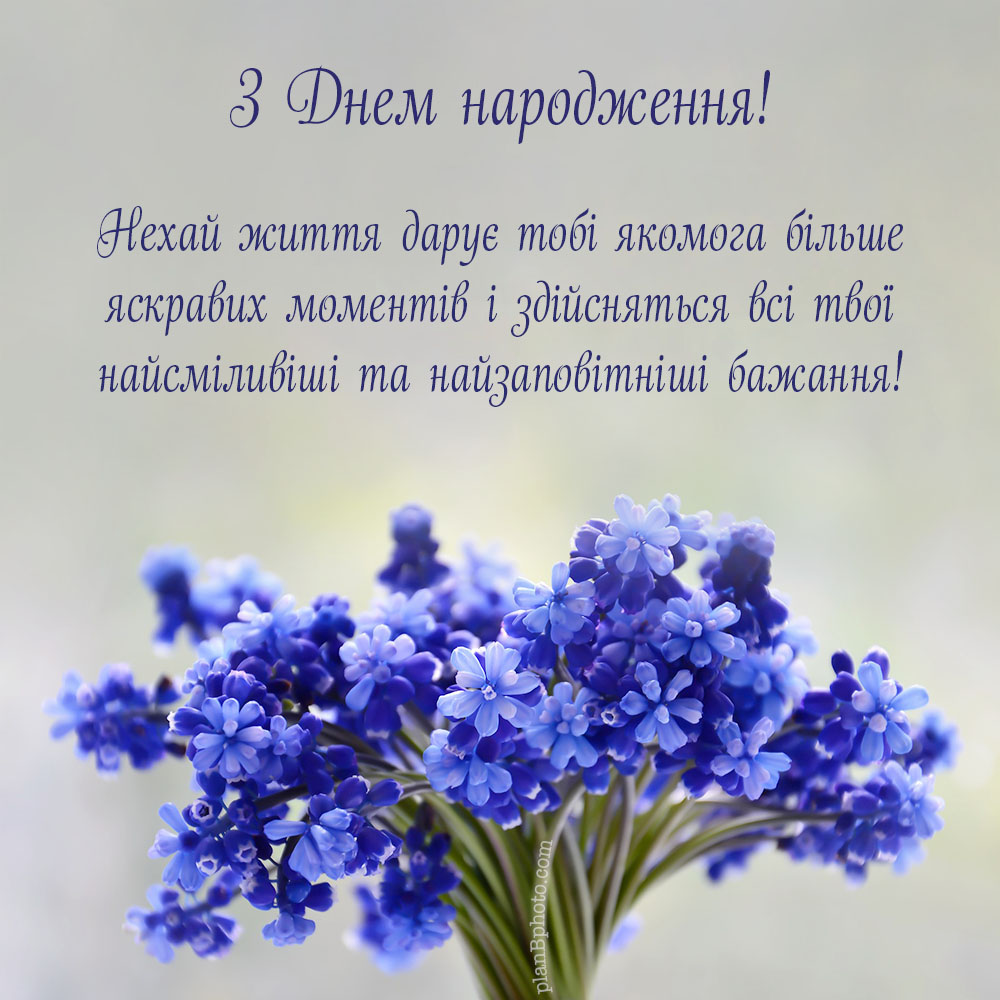 Привітання з днем народження з блакитними квітами