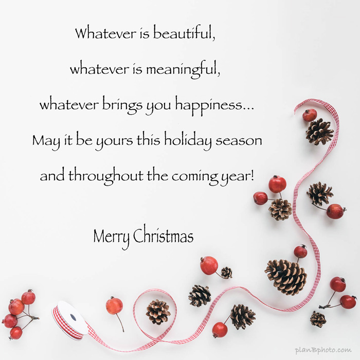 Christmas sentiments image with red apples, pinecones and a red ribbon