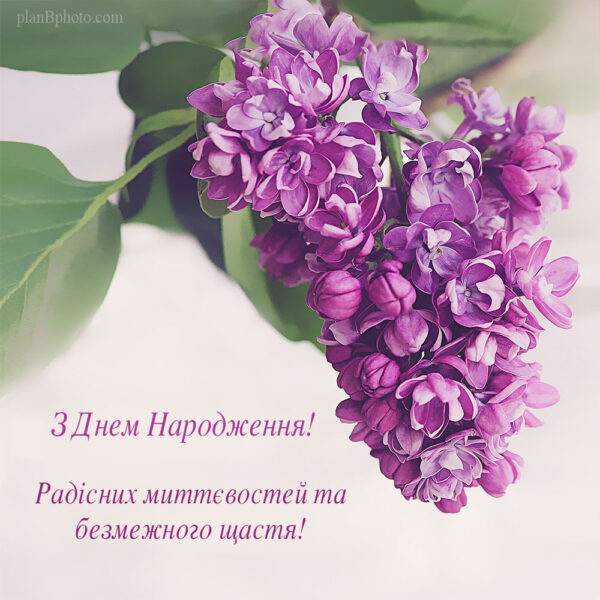 Wishing endless happiness in Ukrainian language 
