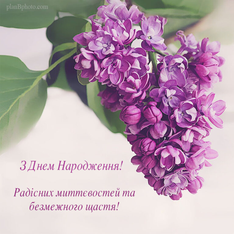 Ukrainian Birthday Wish with lilacs