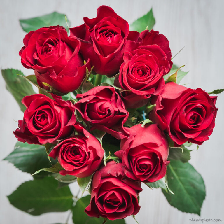 Red roses bouquet birthday image