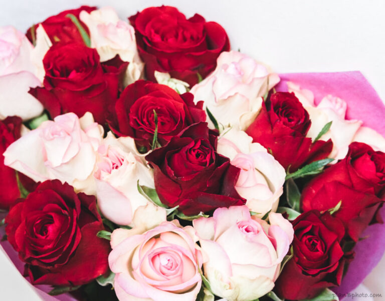 Red and white roses bouquet Valentines Image